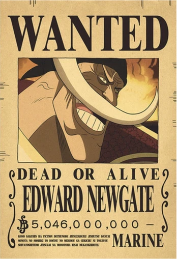 Plakatas One Piece