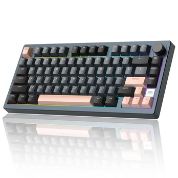 Magegee Light75 Royal Blue, RGB, Pink Bear Switch, US