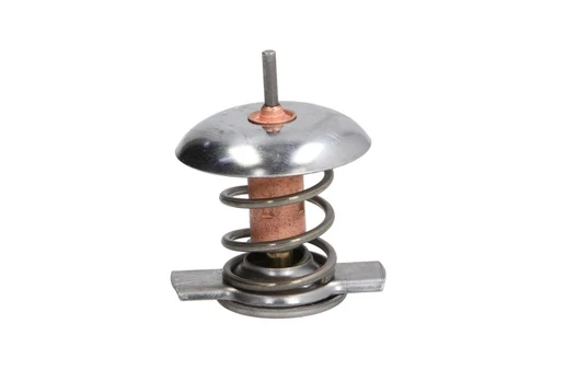 termostatas, aušinimo skystis THERMOTEC D2X005TT