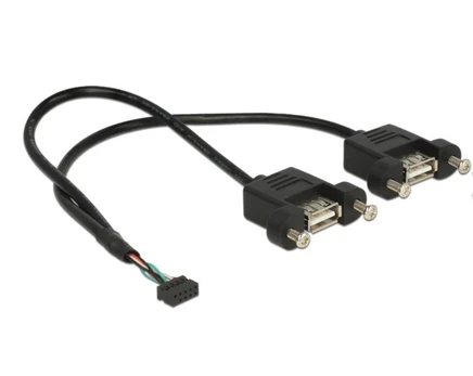 DELOCK USB Kabelis Pinheader 10Pin -> 2x A Bu/Bu 0.25m