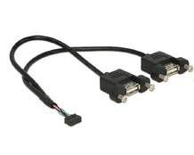DELOCK USB Kabelis Pinheader 10Pin -> 2x A Bu/Bu 0.25m kaina