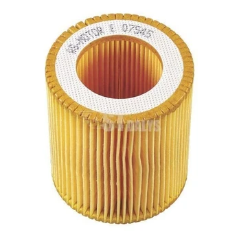 Oro filtras