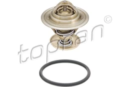 Termostatas, aušinimo skystis TOPRAN 100 573 kaina