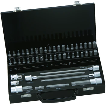 Antgalių rinkinys, 10mm, 49vnt, TORX, HEX, XZN