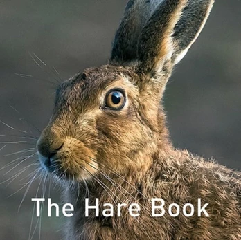 Nature Book Series: The Hare Book