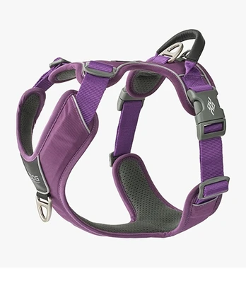 Dog Copenhagen Comfort Walk Pro petnešos, violetinės : Dydis - L