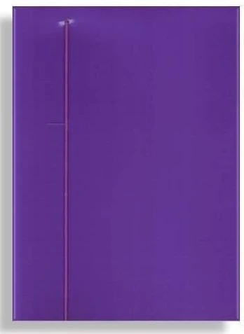 Penmate A4+ aplankas su gumyte, violetinis