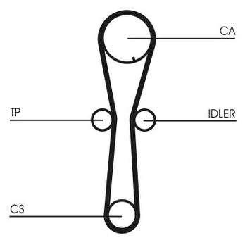Paskirstymo diržas CONTINENTAL CTAM CT954