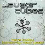 CD The Sugarcubes - Here Today, Tomorrow Next Week!