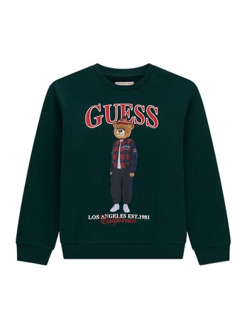 Guess Džemperis L6BQ14 K6130 Žalia Regular Fit