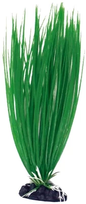 Croci AMTRA ACORUS plastmasinis augalas vidutinis 17cm 1vnt kaina