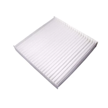 Salono filtras BLUE PRINT ADG02586