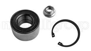Rato guolio komplektas METELLI 19-7694