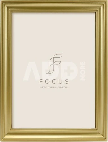 Focus Calla Gold 24x30