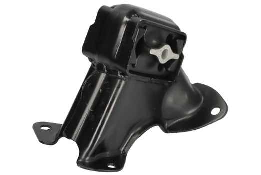Variklio montavimas TEDGUM TED48157