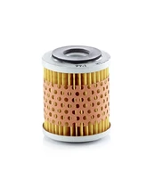 Kuro filtras MANN-FILTER P 66 x kaina
