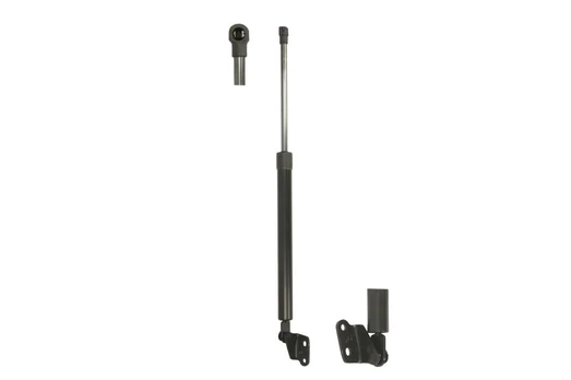 LESJOFORS LS8155466 Boot strut