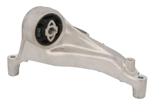 Variklio montavimas TEDGUM TED49363