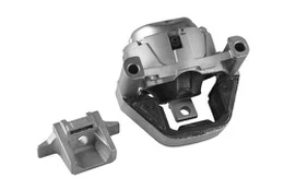Variklio montavimas TEDGUM TED66421 kaina