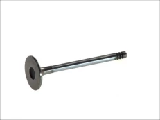 FRECCIA 6143/SCR Inlet valve kaina