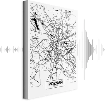 Paveikslas Poznanės miesto planas