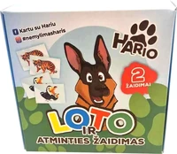 LOTO ir atminties žaidimas kaina