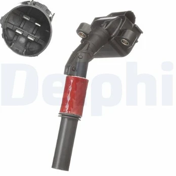 Ritė, uždegimas DELPHI GN10756-12B1