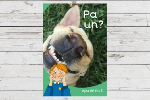 Dyna Chi Dric: Pa Un?