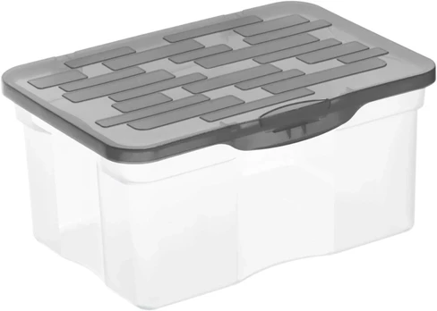 Rotho Box Ranger dėžė su dangčiu