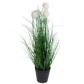 Dirbtinė pampų žolė vazonėlyje, 50 cm kaina