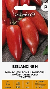 Valgomieji pomidorai Bellandine H