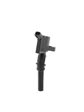 Ritė, uždegimas BorgWarner (BERU) ZS602