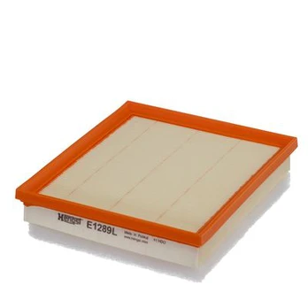 HENGST FILTER E1289L Oro filtras