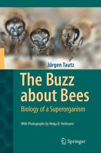 Buzz about Bees