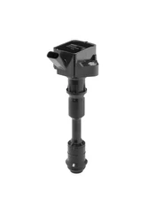 Ritė, uždegimas BorgWarner (BERU) ZSE294