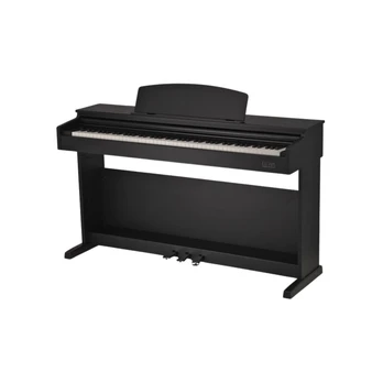 Skaitmeninis pianinas Gewa DP510
