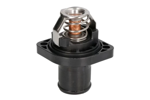 termostatas, aušinimo skystis THERMOTEC D2C003TT