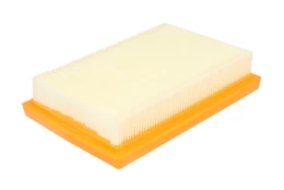 Oro filtras PURFLUX A1613 kaina
