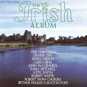 CD Various - The Irish Album