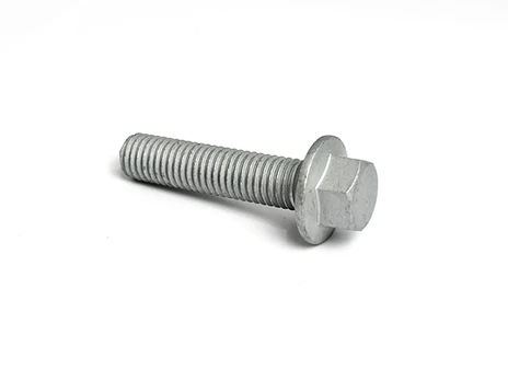 30023-100045160 BOLT