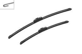 Valytuvai BOSCH 3397118909