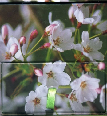 Memo Block Cherry Blossom