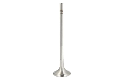 FRECCIA 6993/BM Exhaust valve
