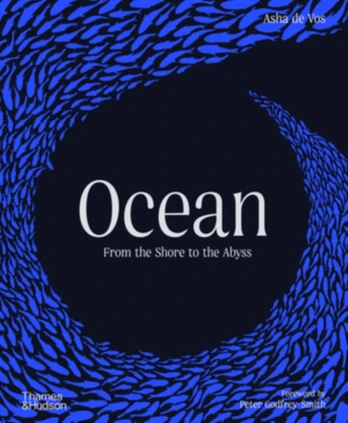Ocean