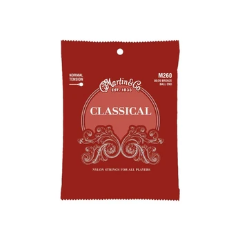 Stygos klasikinei gitarai Martin M260