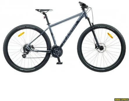 Dviratis 29 CLASSIC PRO 29 Disc 24spetallic classic