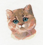 British Shorthair S1326 kaina