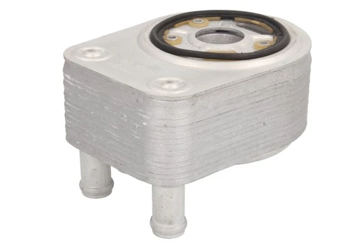Alyvos radiatorius THERMOTEC D4Y001TT
