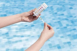 Vandens tikrinimo rinkinys FLOWCLEAR POOL & SPA TEST STRIPS kaina