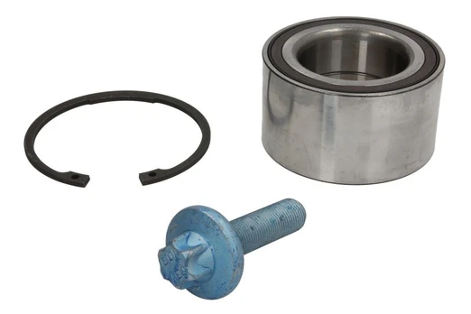 FAG 713 6679 90 Wheel bearing  kit